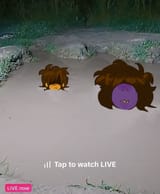 Bros in quicksand