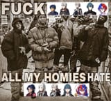 They killed Fire Emblem 