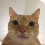 1720915301499799