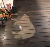 enviromental storytelling