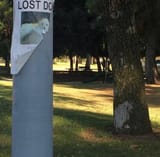 1735498013238530