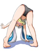 Splacoom Dolphins