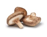 shitake