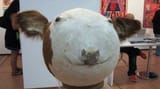 cowball