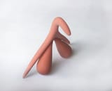 Clitoris_3D_(v2)