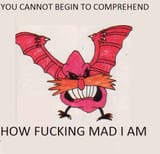 1736511001325767