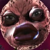Nerrel Moon