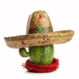 cactus-sombrero-sombrero-festa-junina_464314-4307