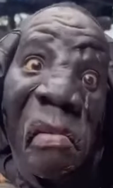 ai nigra