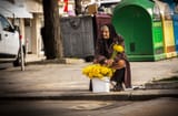 average europoor