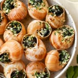 escargot-featured