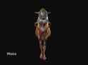Jak 3 Maia model viewer_thumb.jpg