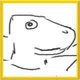 Testing