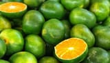 greenorange