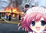 sachi