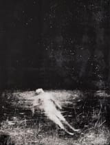 1685838352576417