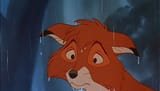 tod