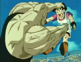 videl punch