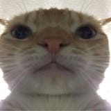 1738168269571444