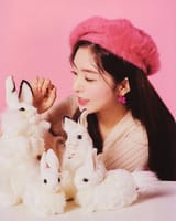 bd5dce362c2b5e617b50ea89775a0c33