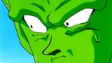 Piccolo nervous