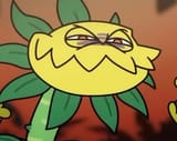 cractusGXuSjYPXQAAqhtv