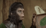 fed up ape