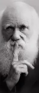 darwin