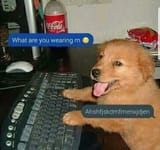 ___1623641636748
