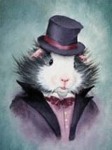 guineapig