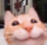 1739265584327533