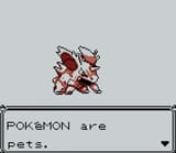 Pets