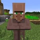 villager (8)