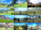 grass