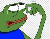 pepe-the-frog-internet-meme-crying-feel-in-place