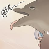 Dolphin