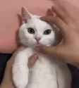 1642083782_thumb.jpg