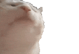 1722048474728833