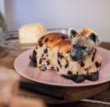 muffyena