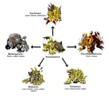 Sunarizamon digimon evo option example 4CH REDOWNLOAD