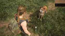 tlou2 abby dog_thumb.jpg