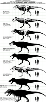 trexproof