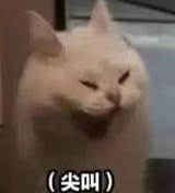 1675309104578363