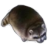 1615714376552