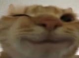 465787857