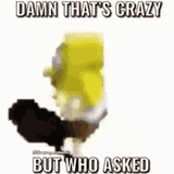 1646002865159