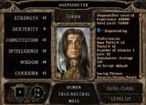 Baldurs Gate 2 Cernd