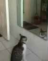 1751326234783[1]_thumb.jpg