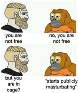 1749295749662121