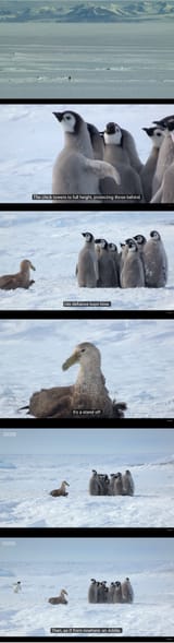 a man must walk his path alone